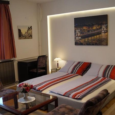 Apartment Sinko - Free Garage Parking, Central, 2 Bedrooms 4 Single Beds, Flexi Check-Out Budapest Eksteriør billede